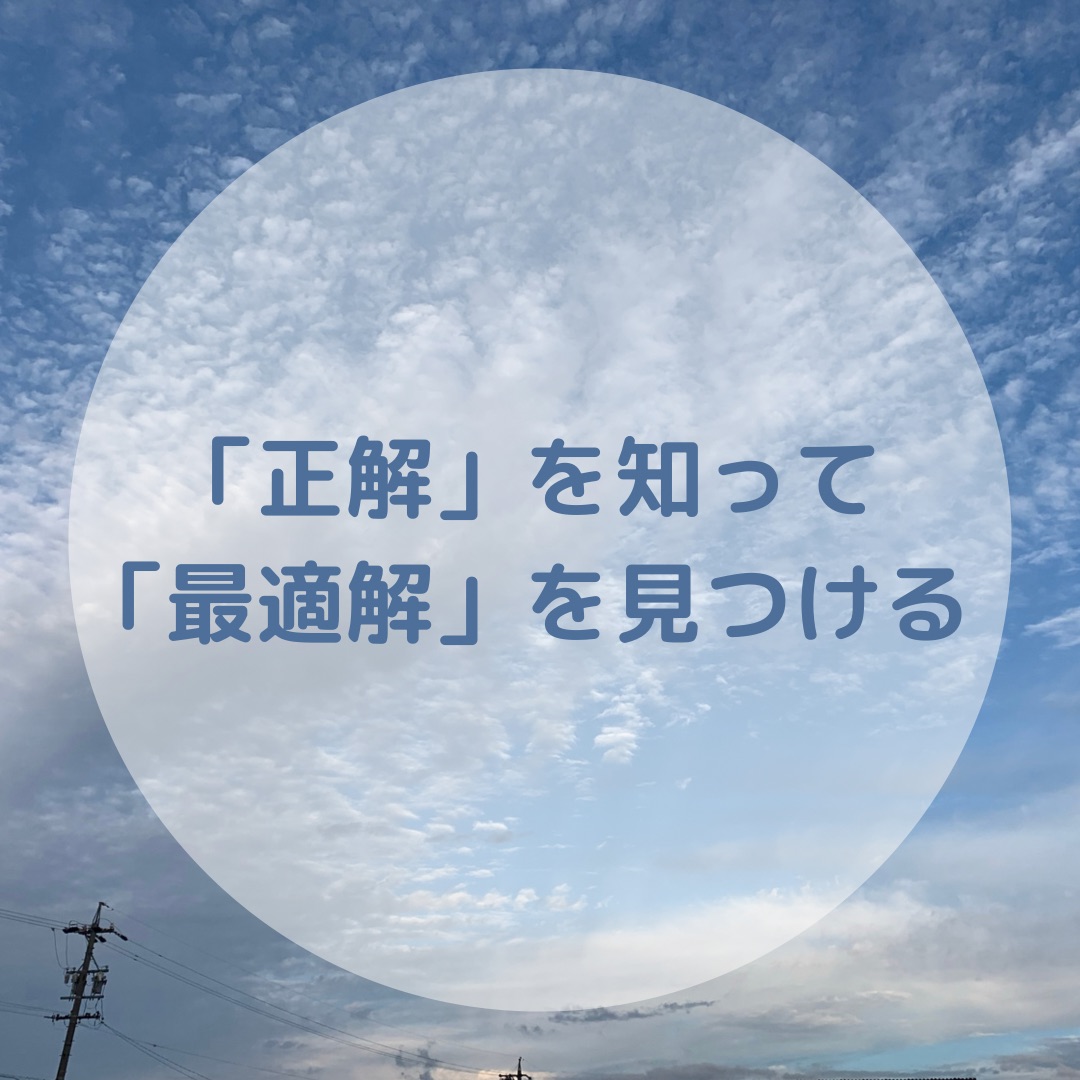 最適解 最適解