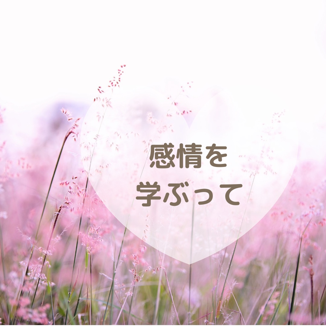 感情 感情